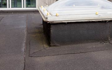 disadvantages of Bwlchyllyn flat roofs