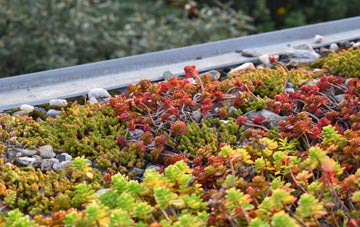 the cost of Bwlchyllyn green roof installation