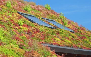 Bwlchyllyn living roof systems